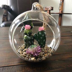 Cacti Desert Glass Hanging Succulent Terrarium